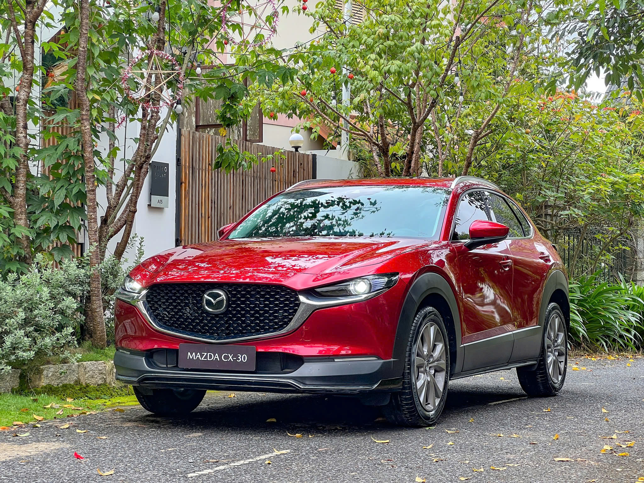 Cx30 1